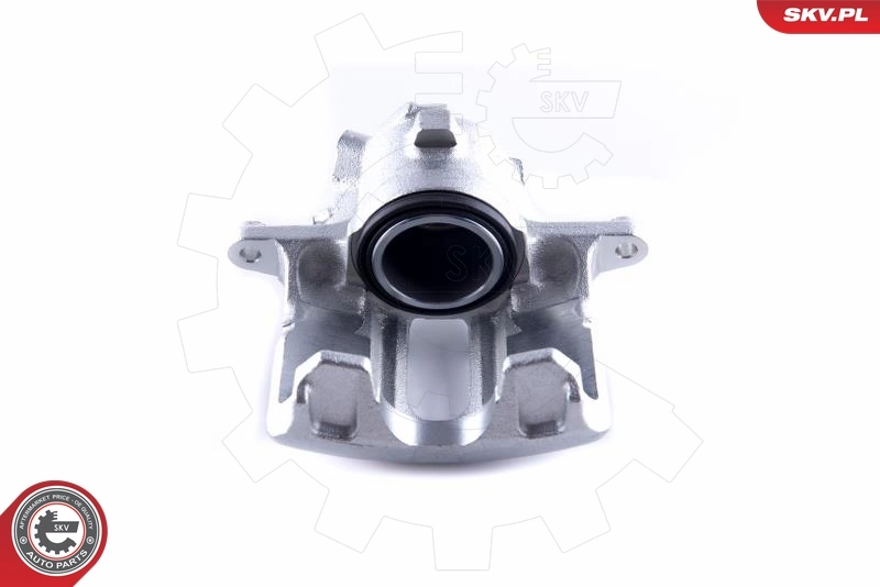 Brake Caliper 55SKV051