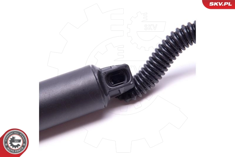 Electric Motor, tailgate 52SKV904