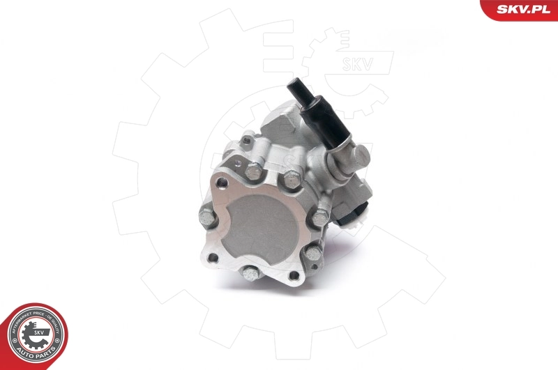 Hydraulic Pump, steering 10SKV224