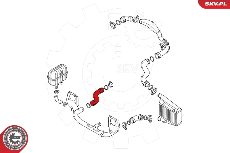 Charge Air Hose 24SKV110