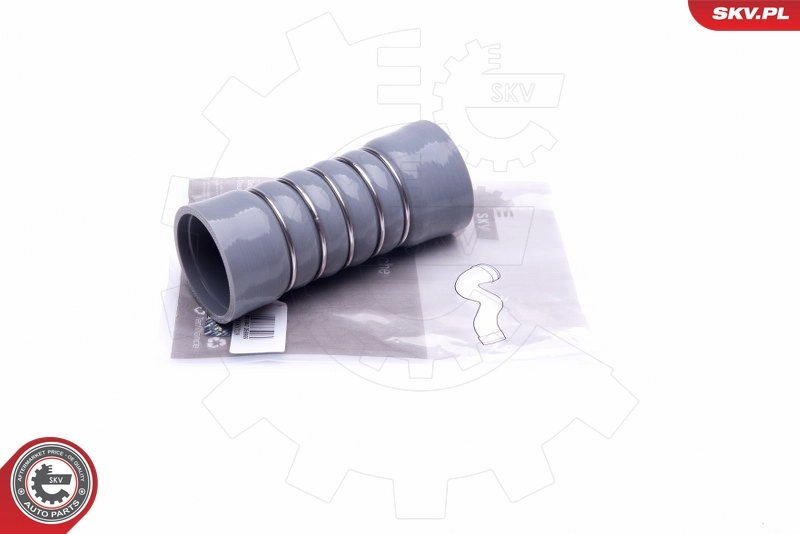 Charge Air Hose 24SKV728