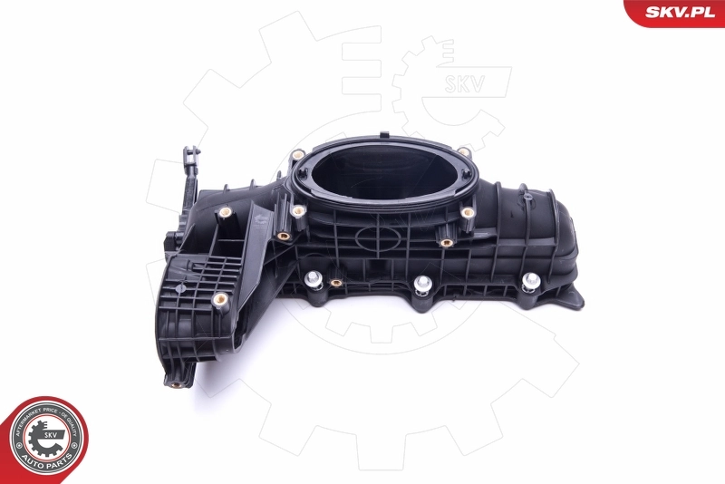 Intake Manifold Module 49SKV014