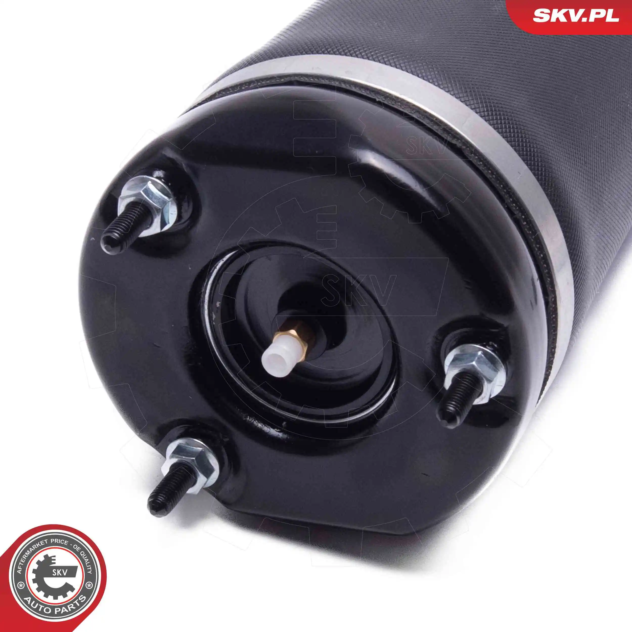 Air Suspension Strut 58SKV714