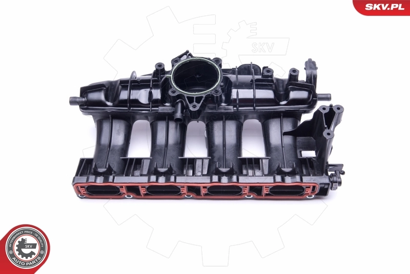 Intake Manifold Module 49SKV009