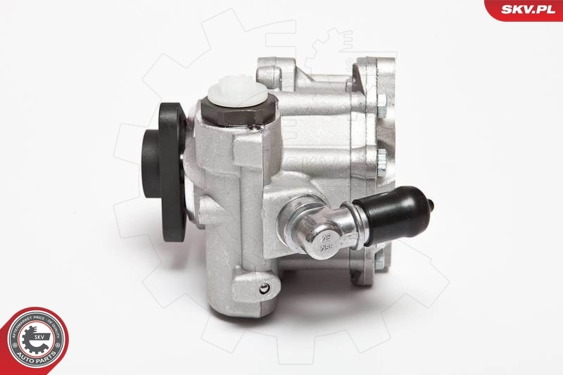 Hydraulic Pump, steering 10SKV072