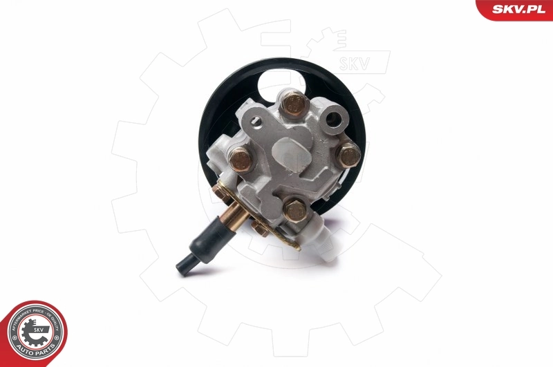 Hydraulic Pump, steering 10SKV228