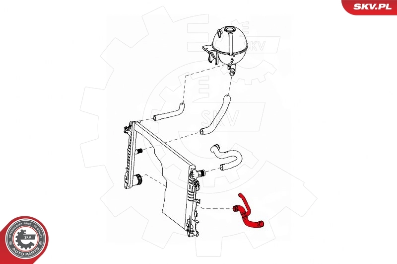 Radiator Hose 24SKV304