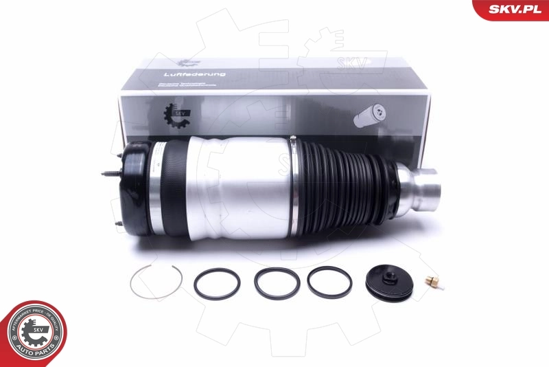 Air Suspension Strut 58SKV060