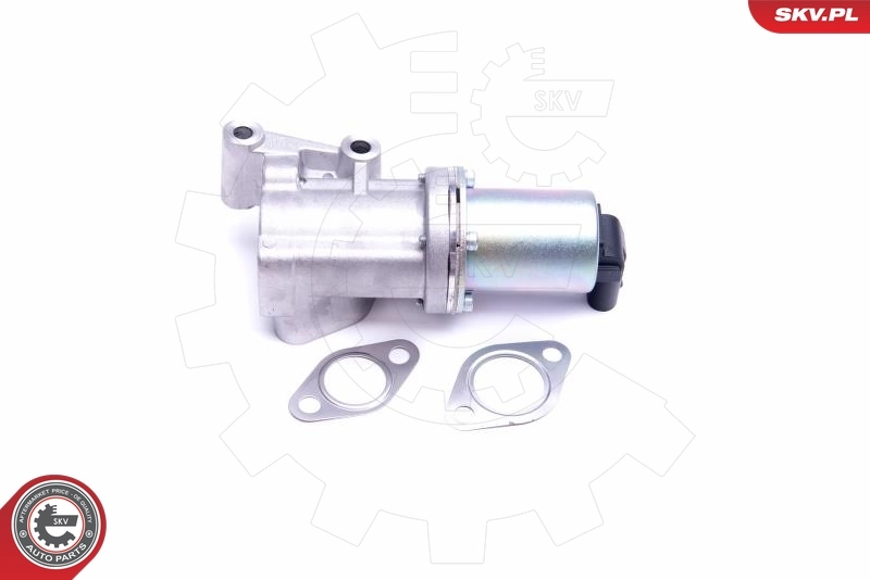EGR Valve 14SKV211
