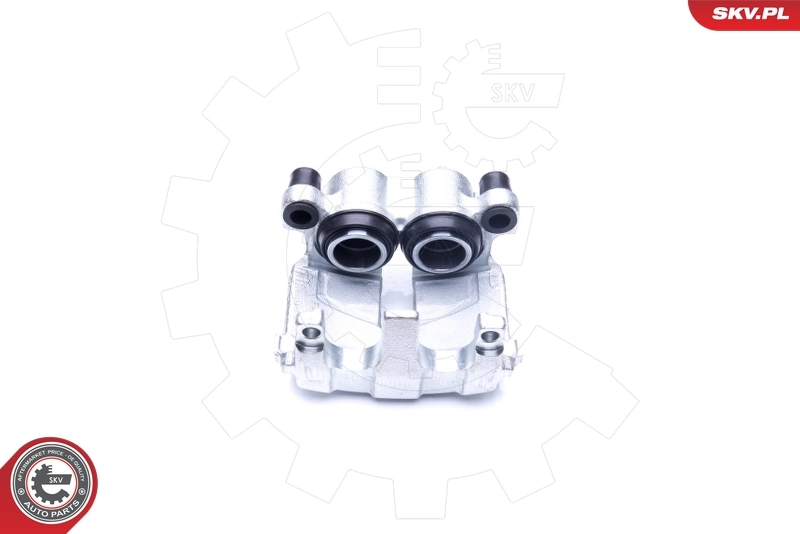 Brake Caliper 45SKV022