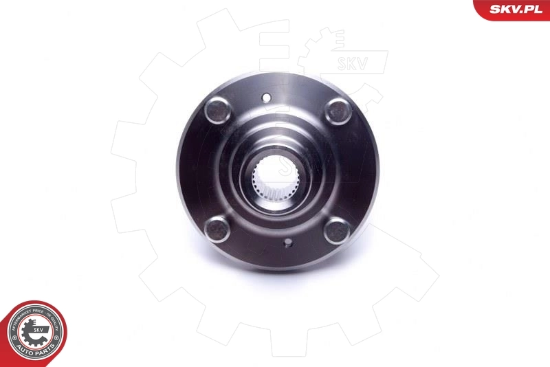 ESEN SKV 29SKV465 Wheel Bearing Kit