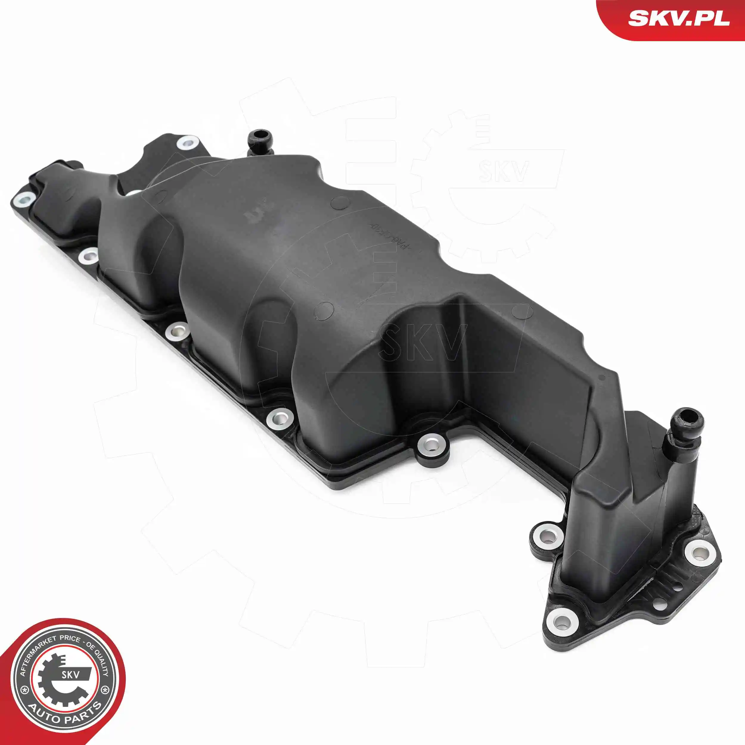Cylinder Head Cover 48SKV117