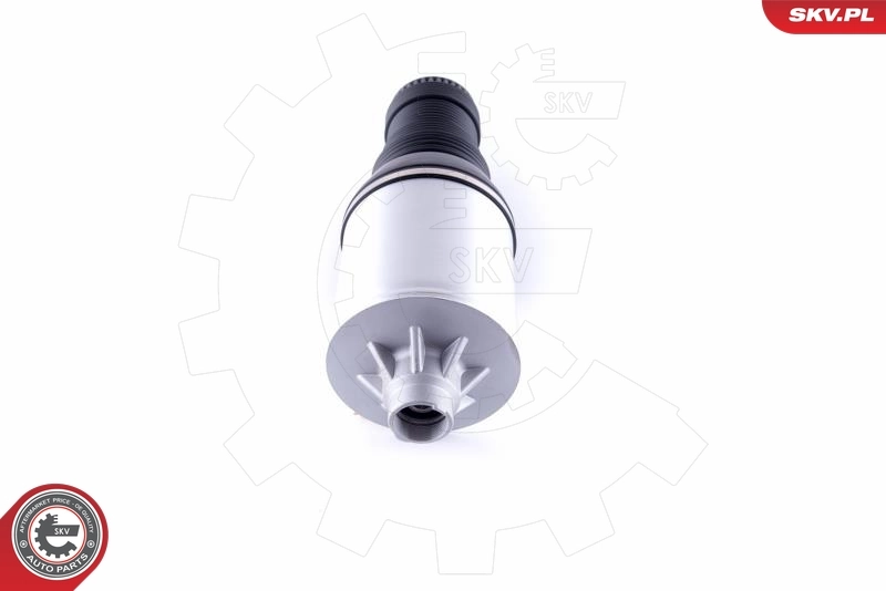 Air Spring, suspension 58SKV051