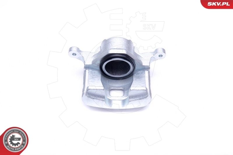 Brake Caliper 45SKV392