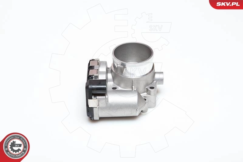 Throttle Body 12SKV008