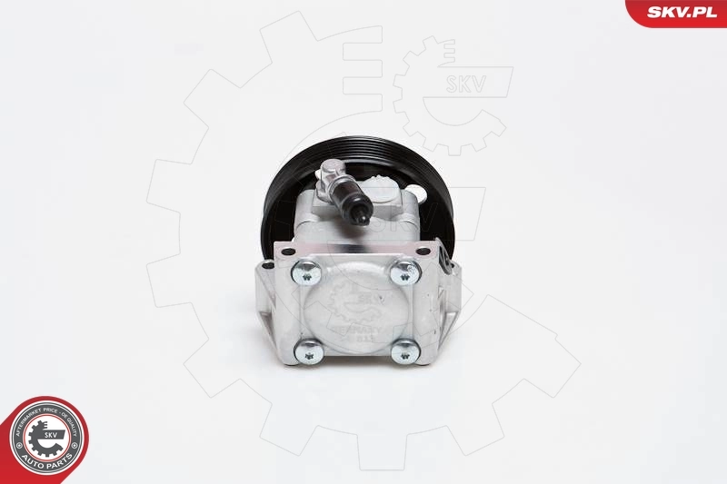 Hydraulic Pump, steering 10SKV091