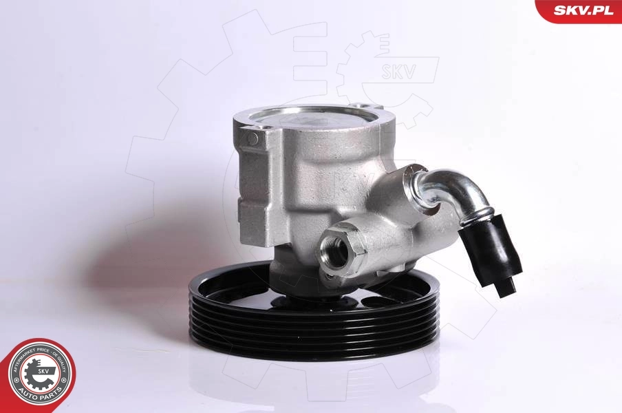 Hydraulic Pump, steering 10SKV163