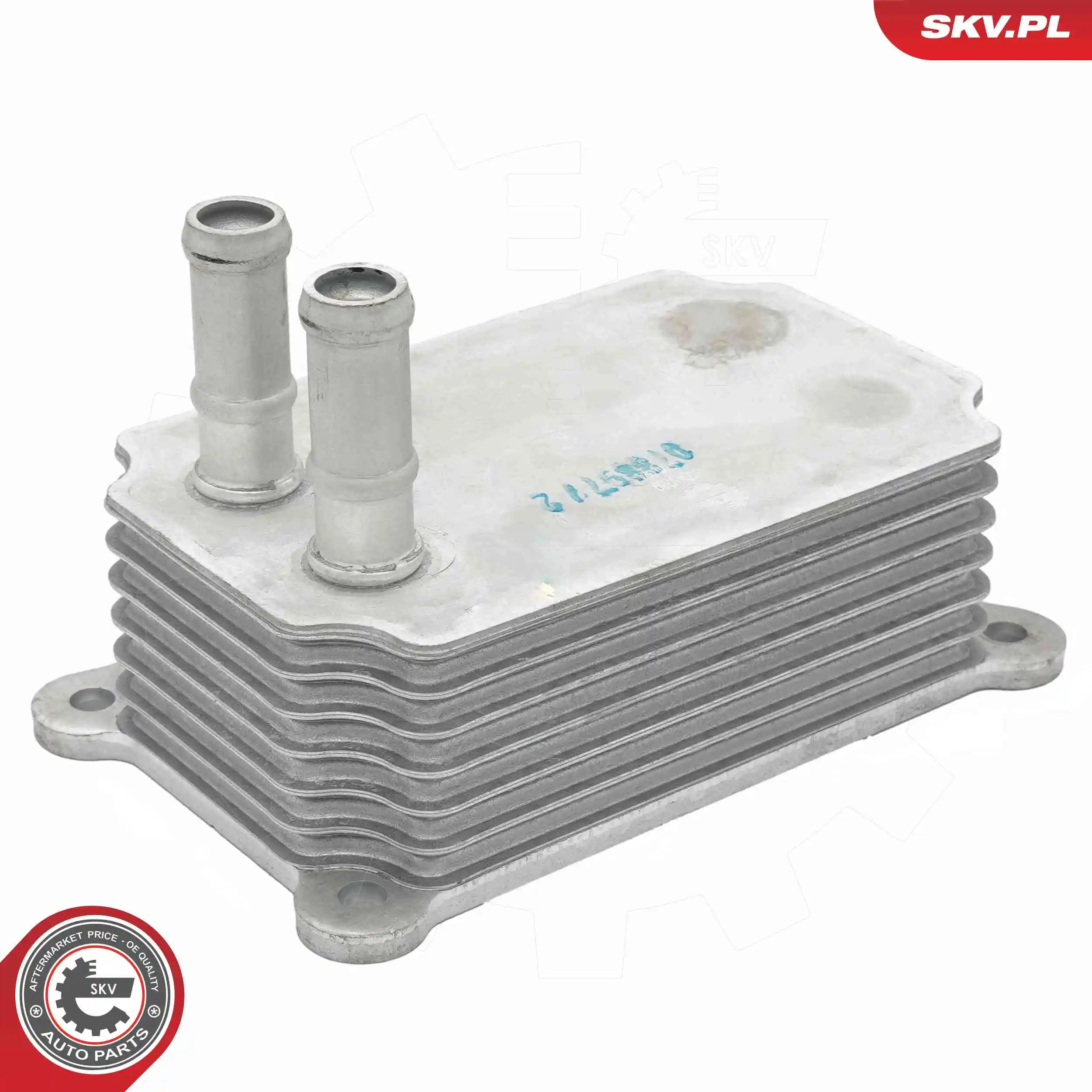 Oil Cooler, engine oil 31SKV339