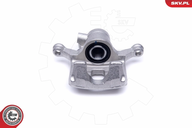 Brake Caliper 50SKV444