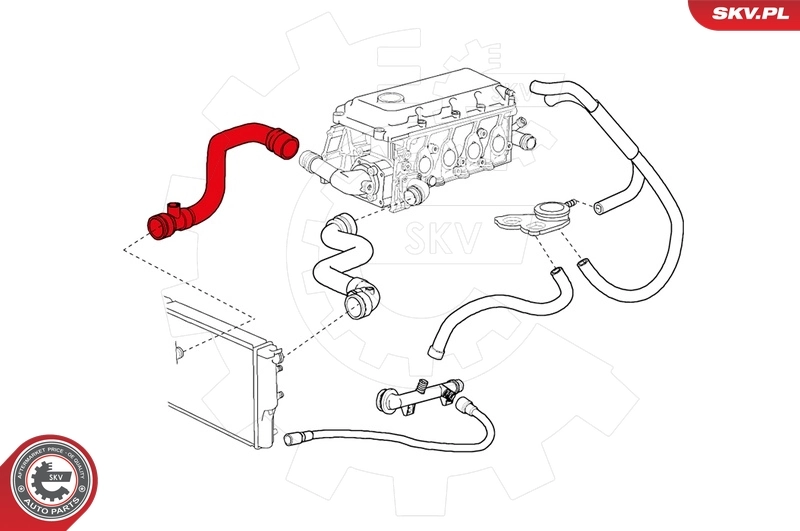 Radiator Hose 24SKV250