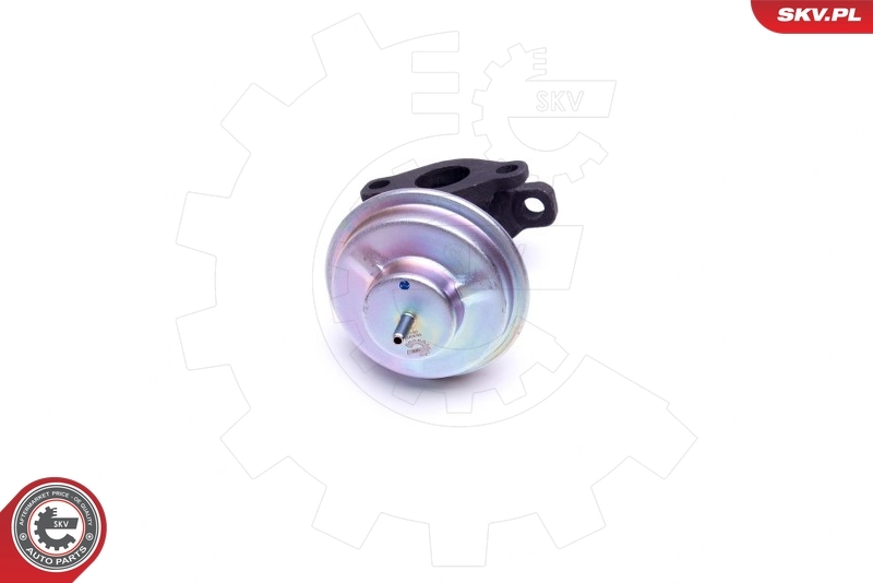 EGR Valve 14SKV204