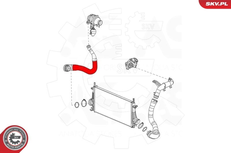 Charge Air Hose 43SKV088