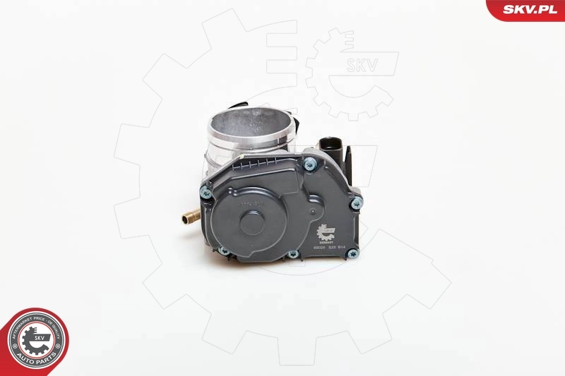 Throttle Body 12SKV026