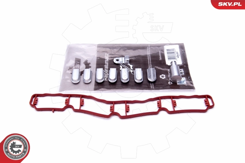 Repair Kit, intake manifold module 49SKV521