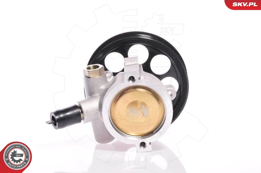 ESEN SKV 10SKV108 Hydraulic Pump, steering
