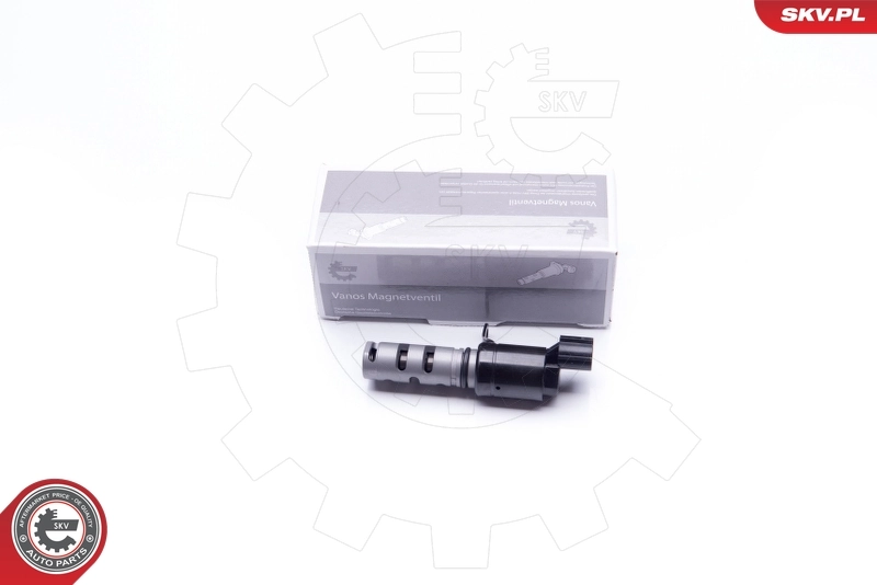 Control Valve, camshaft adjustment 39SKV022