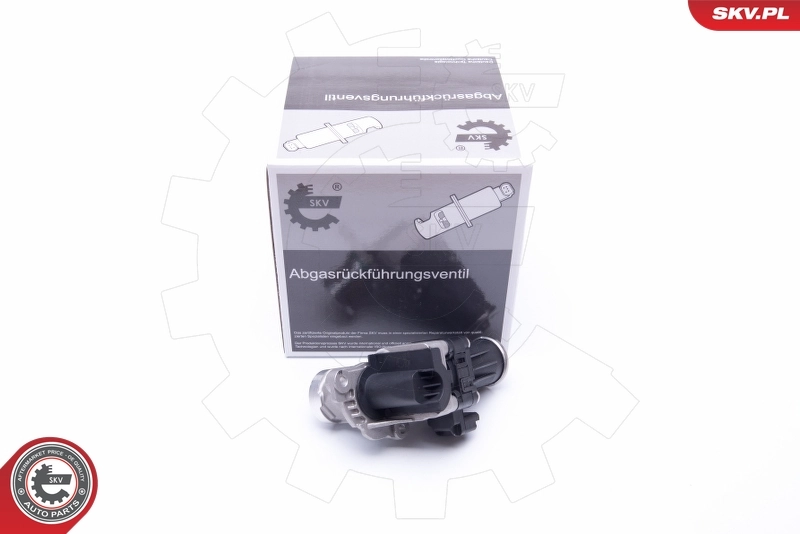 EGR Valve 14SKV185