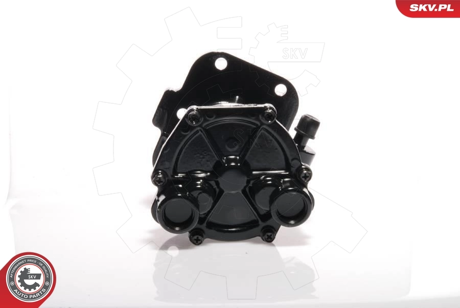 Vacuum Pump, braking system 18SKV011