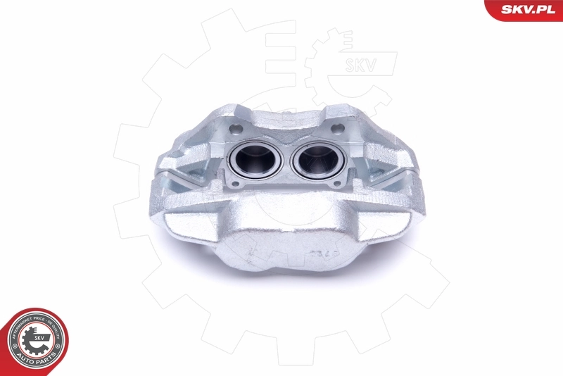 Brake Caliper 45SKV881