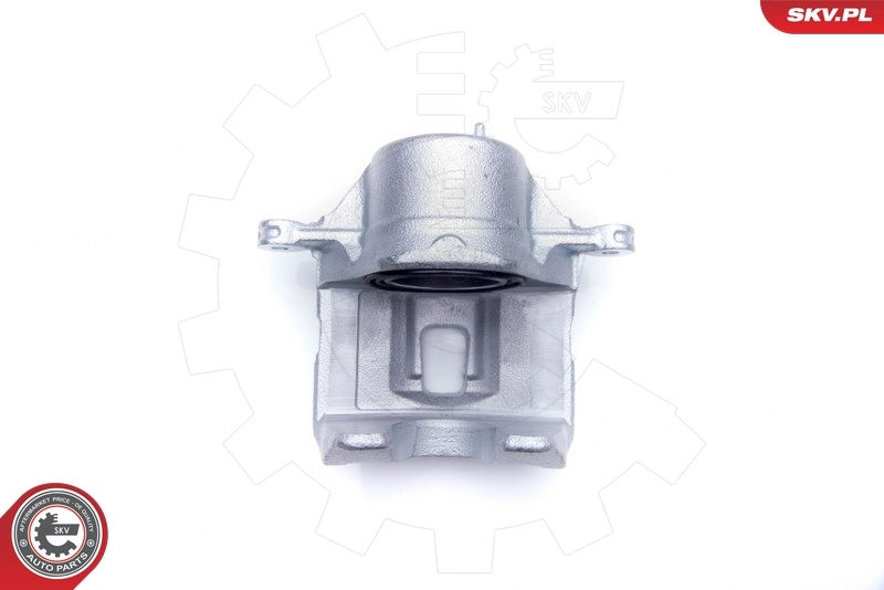 Brake Caliper 34SKV362