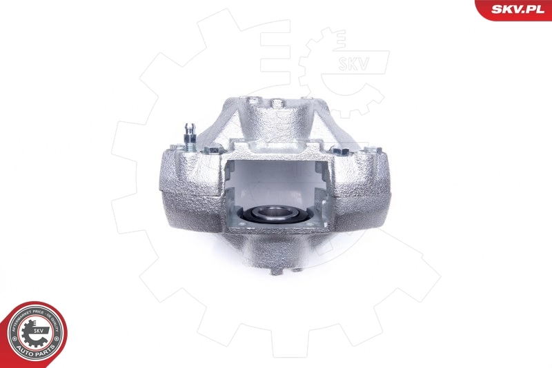 Brake Caliper 42SKV013