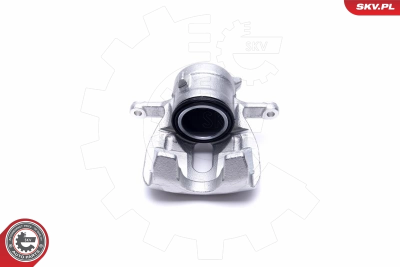 Brake Caliper 46SKV782