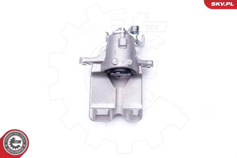 Brake Caliper 42SKV063