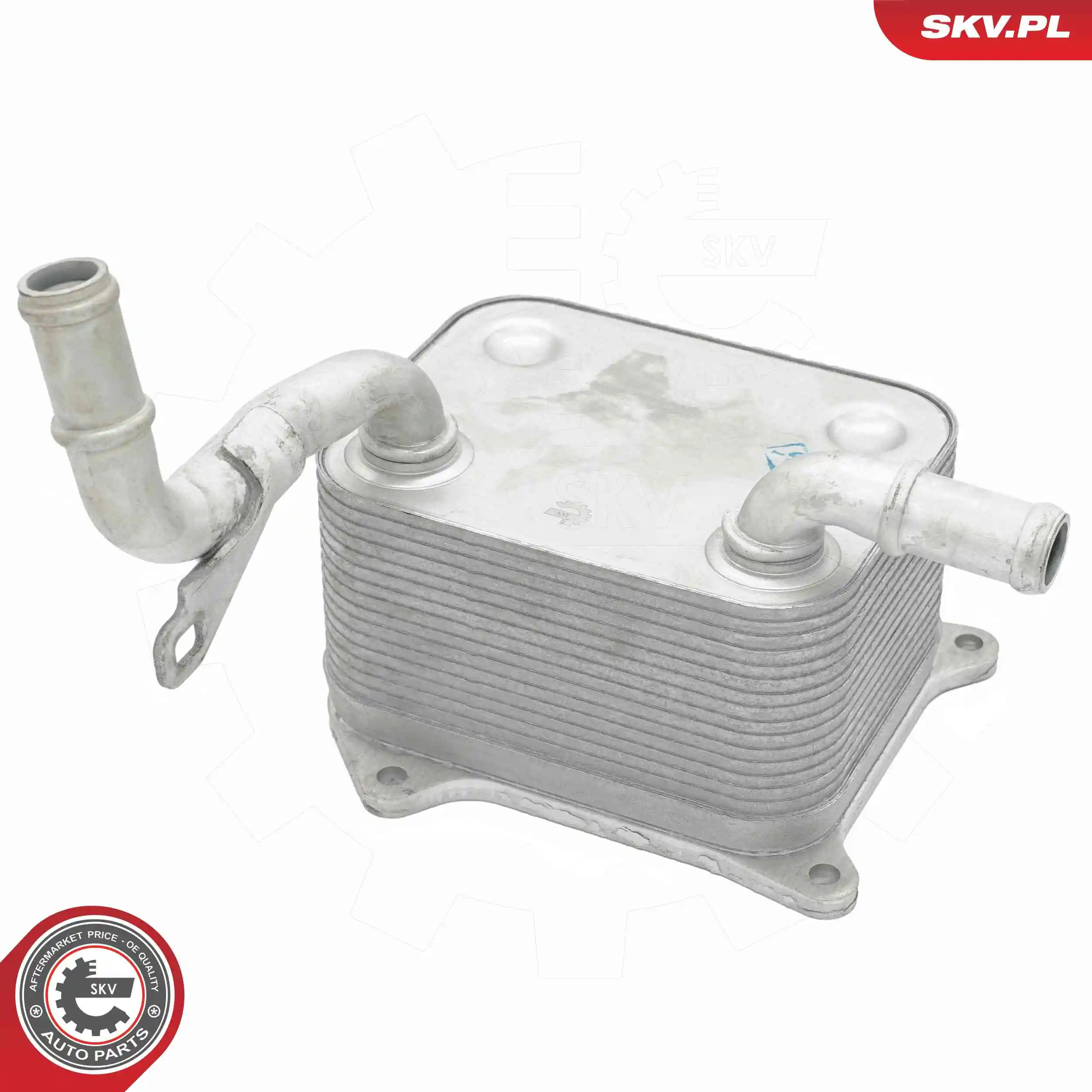 Oil Cooler, engine oil 31SKV323