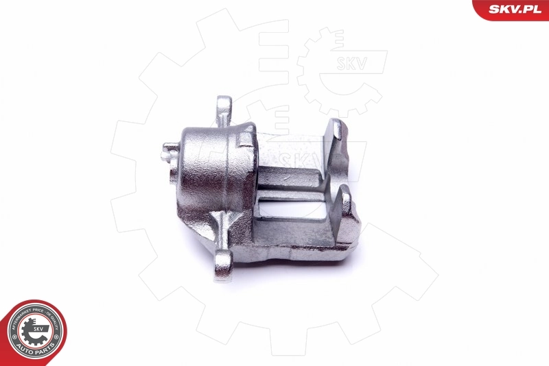 Brake Caliper 45SKV782