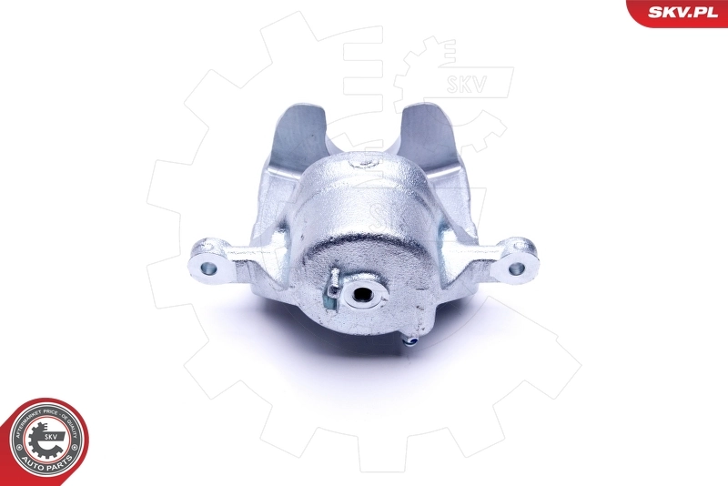 Brake Caliper 46SKV212