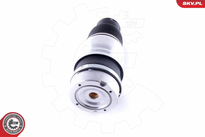 Air Spring, suspension 58SKV037