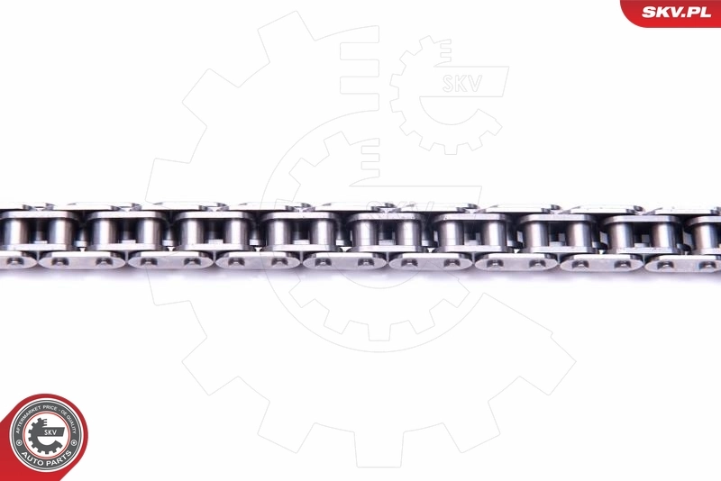Timing Chain Kit 21SKV179