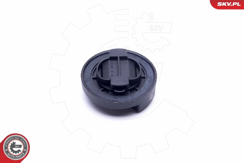 Sealing Cap, oil filler neck 61SKV035