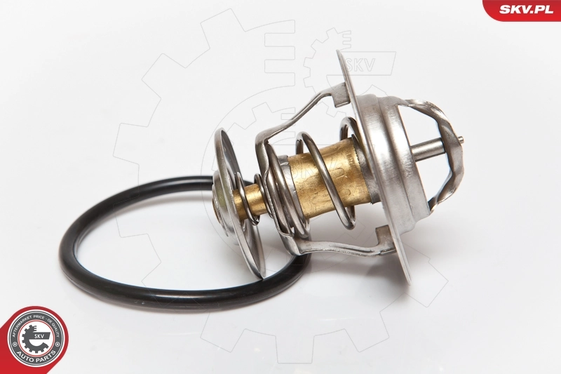 Thermostat, coolant 20SKV003