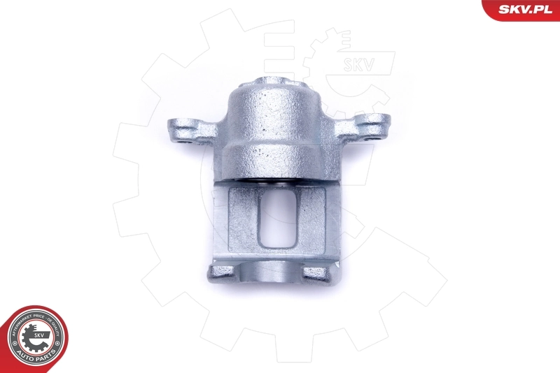 Brake Caliper 50SKV464