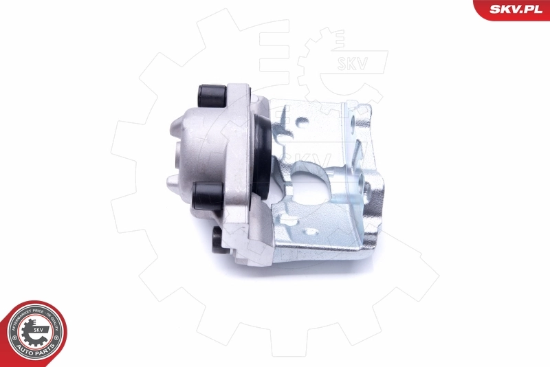 Brake Caliper 42SKV822