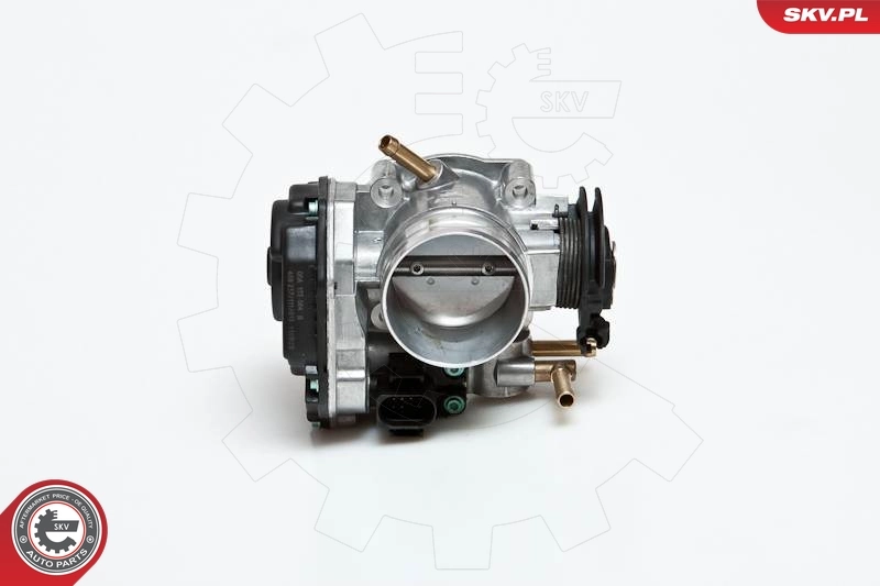 Throttle Body 12SKV036