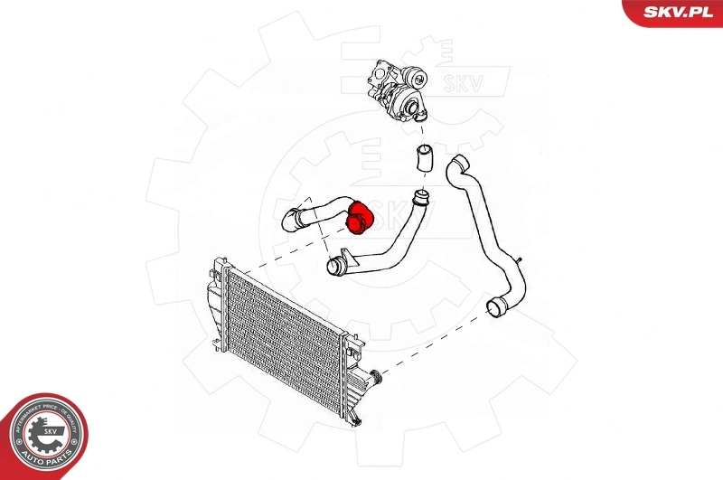 Charge Air Hose 43SKV198