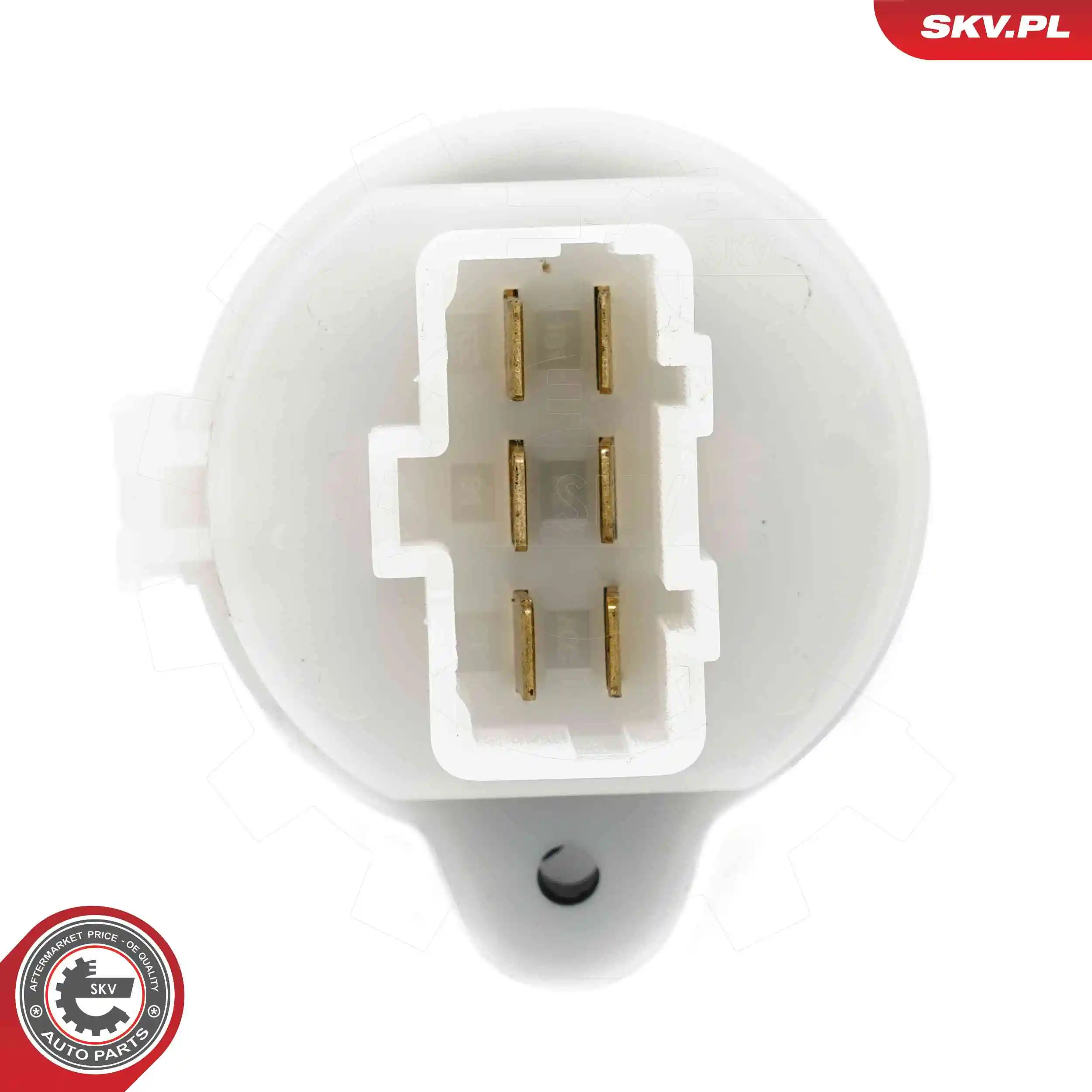 Ignition Switch 65SKV027