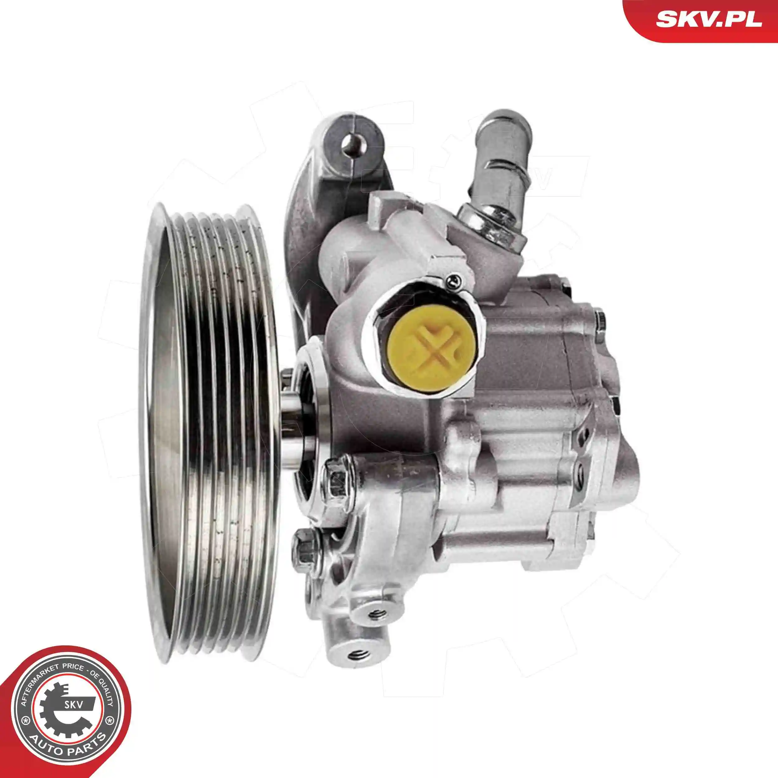 Hydraulic Pump, steering 10SKV317